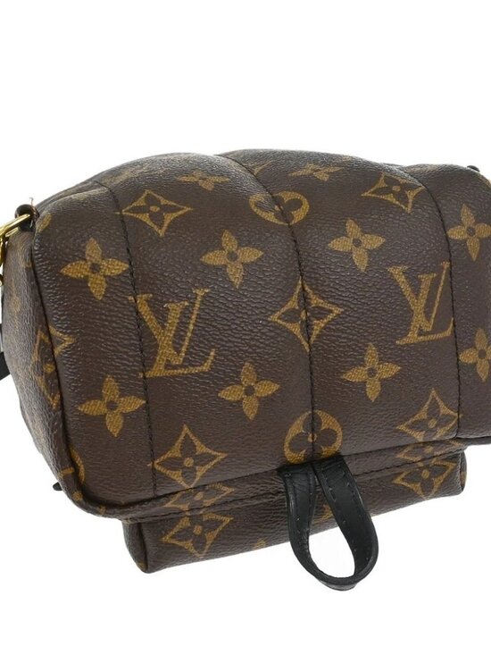 Louis Vuitton Palm Springs Mini Backpack M44873 CA2128 166938 main image 9